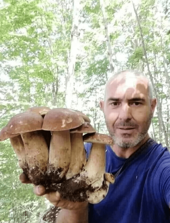 Impressive Finds Of Mushroom Pickers (18 pics)