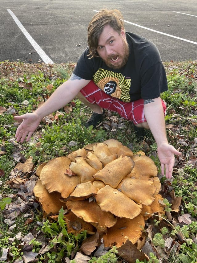 Impressive Finds Of Mushroom Pickers (18 pics)