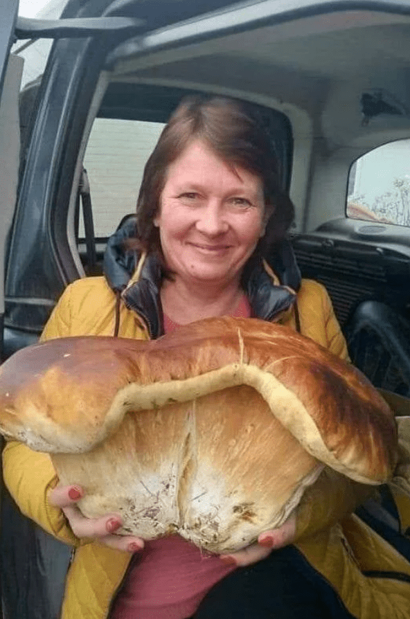 Impressive Finds Of Mushroom Pickers (18 pics)