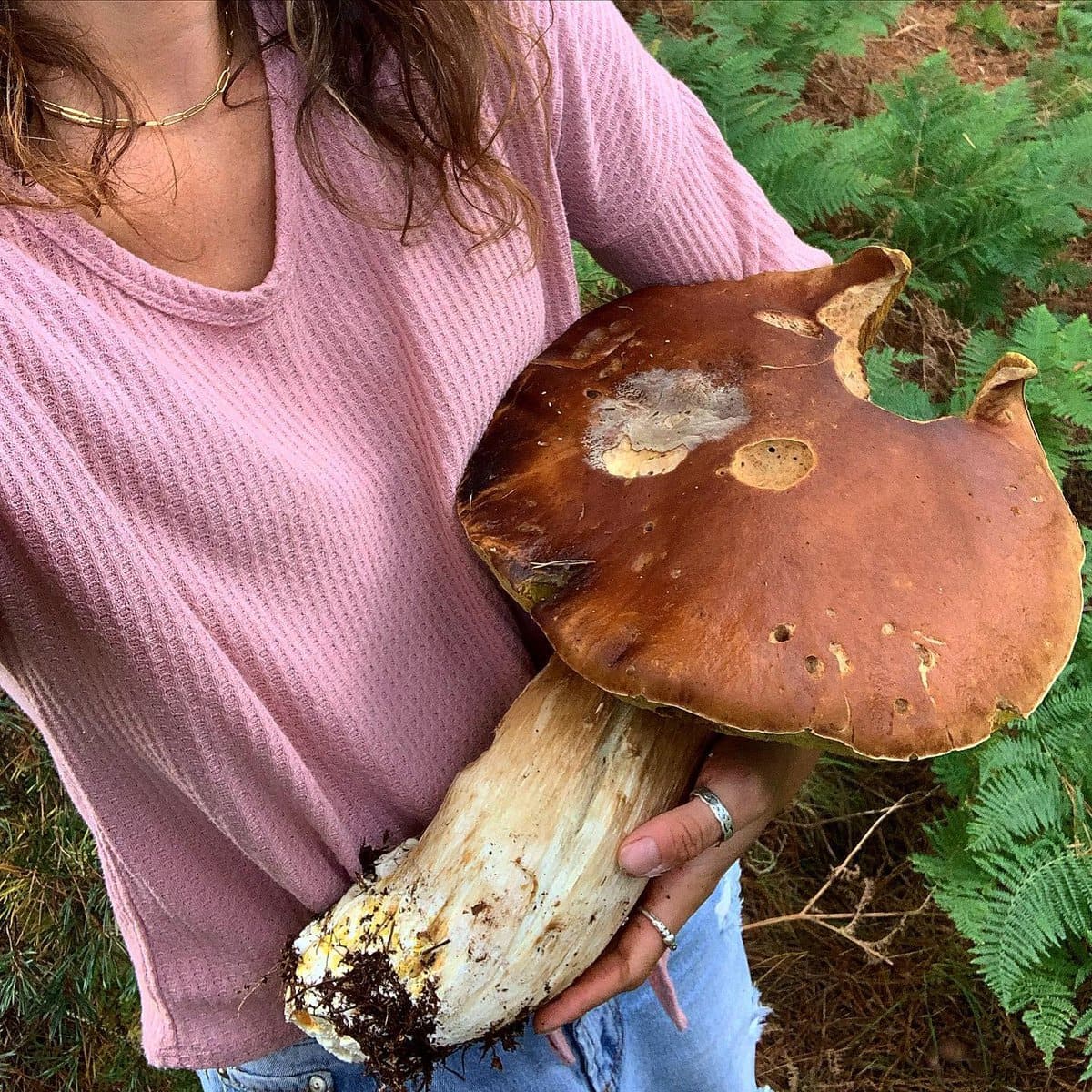 Impressive Finds Of Mushroom Pickers (18 pics)