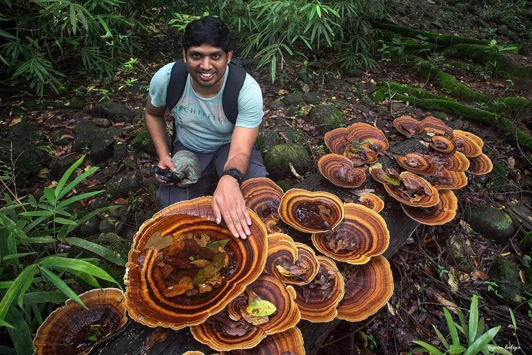 Impressive Finds Of Mushroom Pickers (18 pics)