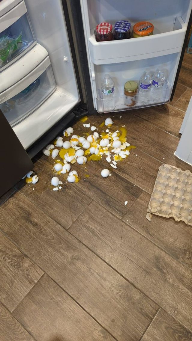 Bad Days Happen (17 pics)