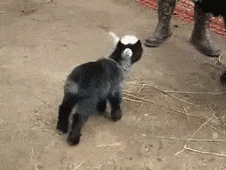 Acid GIFs, March 13 (25 gifs)