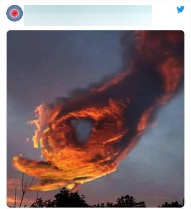 Amazing Photos And Finds (25 pics)