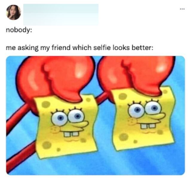 Memes For Girls (25 pics)