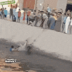 Acid GIFs, March 27 (25 gifs)