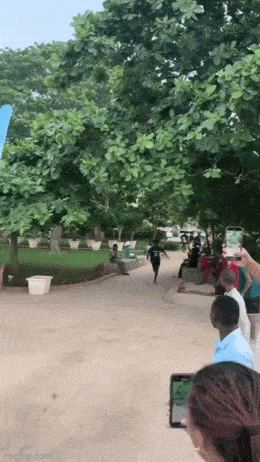 Acid GIFs, March 27 (25 gifs)