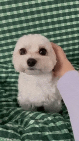 Acid GIFs, March 27 (25 gifs)
