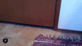 Acid GIFs, March 27 (25 gifs)