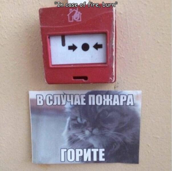 Daily Pictures. Part 1 (70 pics)