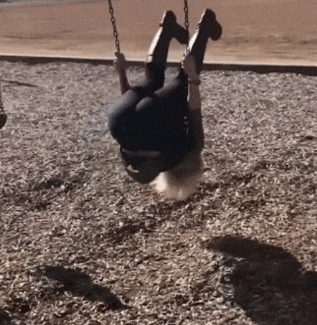 Acid GIFs, March 28 (25 gifs)