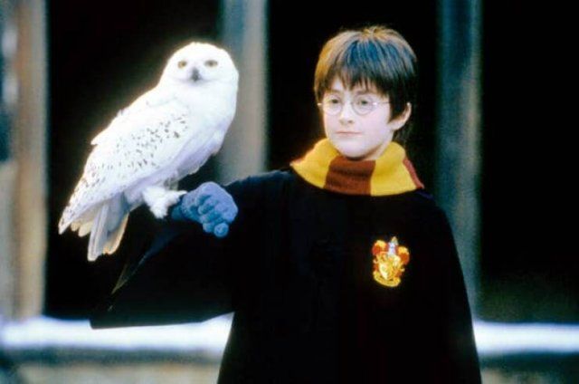 Child Stars Of The 90's, 00's And 2010's Then And Today (54 pics)