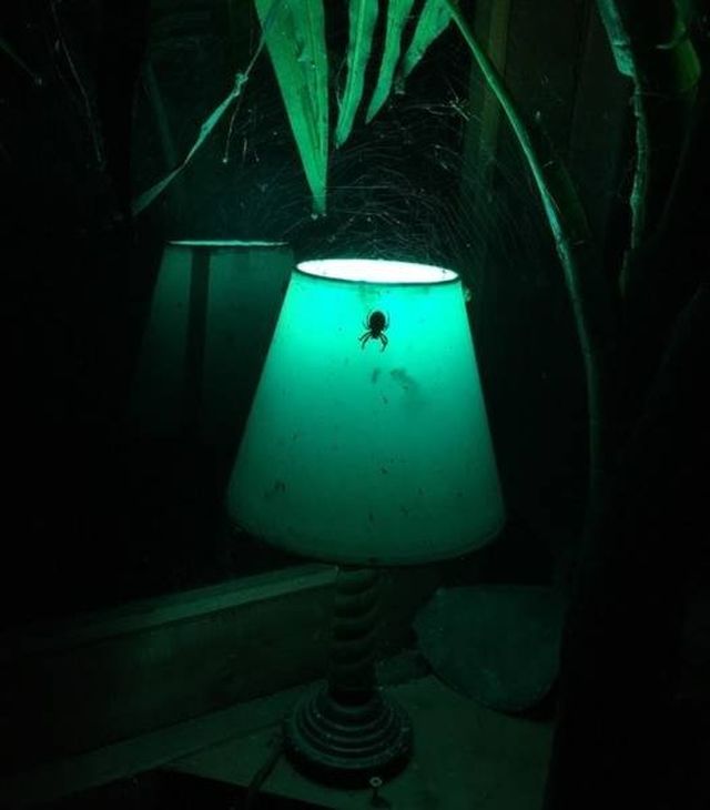 Creepy Photos (46 pics)