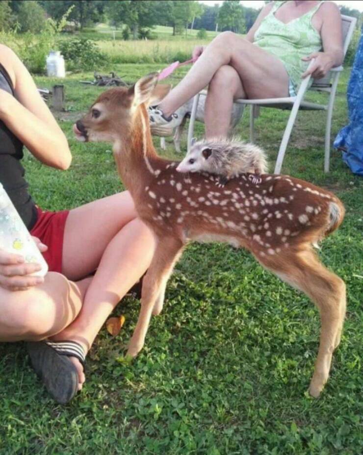 Daily Pictures. Part 1 (68 pics)