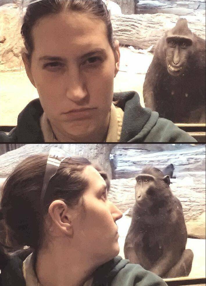 Daily Pictures. Part 1 (68 pics)
