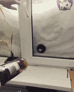 Acid GIFs, March 30 (25 gifs)