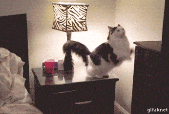 Acid GIFs, March 30 (25 gifs)