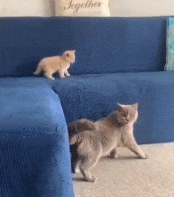 Acid GIFs, March 30 (25 gifs)