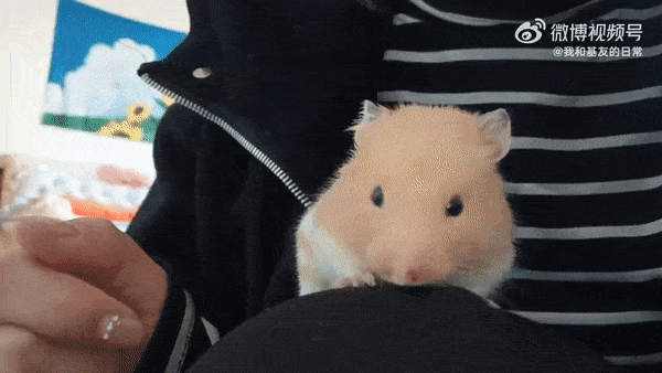 Acid GIFs, March 30 (25 gifs)
