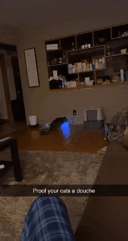 Acid GIFs, March 30 (25 gifs)