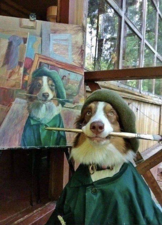 Funny Animals (48 pics)