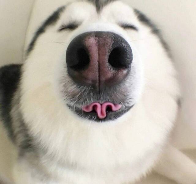 Daily Pictures. Part 1 (72 pics)