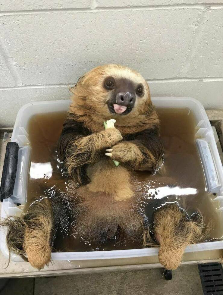 Daily Pictures. Part 1 (72 pics)