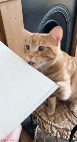 Acid GIFs, April 3 (25 gifs)