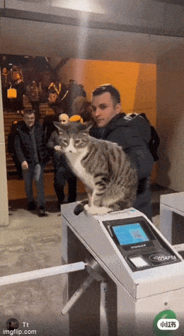 Acid GIFs, April 3 (25 gifs)