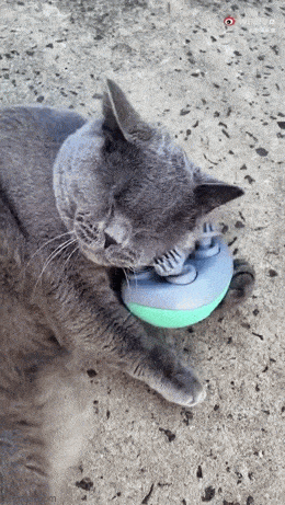 Acid GIFs, April 3 (25 gifs)