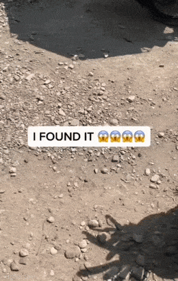 Acid GIFs, April 3 (25 gifs)
