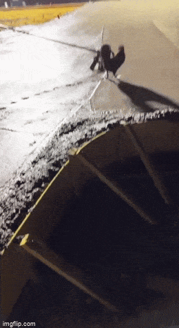 Acid GIFs, April 3 (25 gifs)
