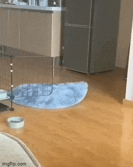 Acid GIFs, April 3 (25 gifs)