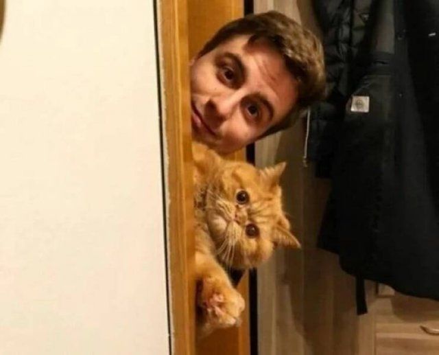Funny Animals (52 pics)