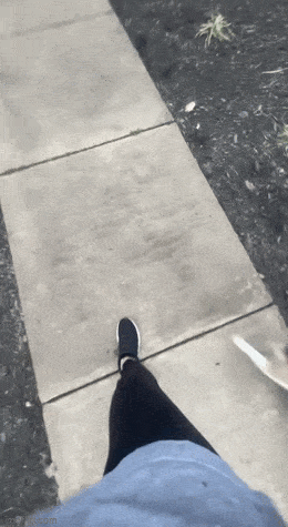 Acid GIFs, April 4 (25 gifs)