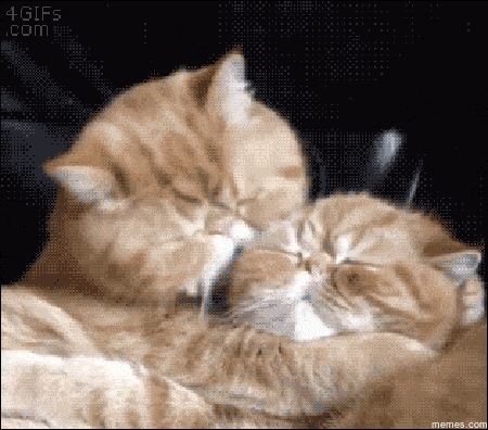Acid GIFs, April 4 (25 gifs)