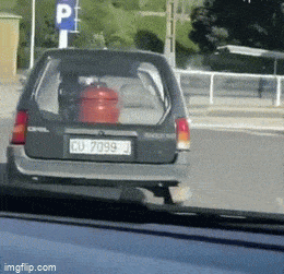 Acid GIFs, April 4 (25 gifs)