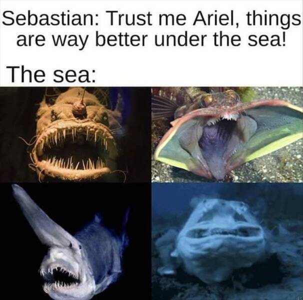Daily Pictures. Part 2 (70 pics)