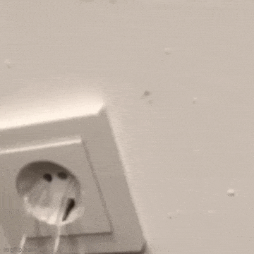 Acid GIFs, April 7 (25 gifs)