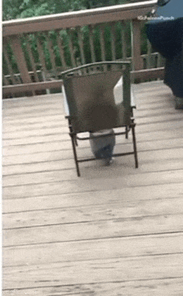 Acid GIFs, April 7 (25 gifs)
