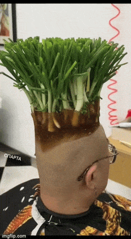 Acid GIFs, April 7 (25 gifs)