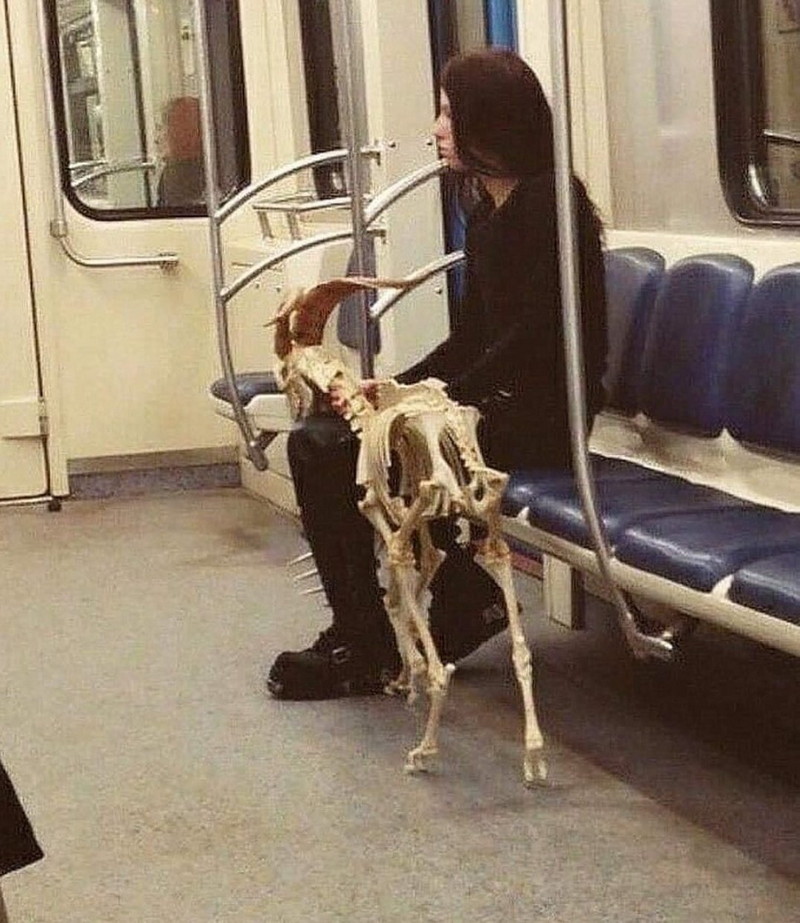 Strange People In The Subway (21 pics)