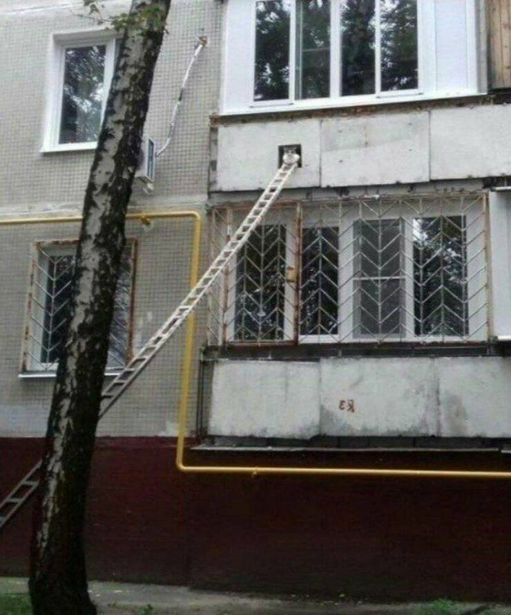 Daily Pictures. Part 1 (73 pics)