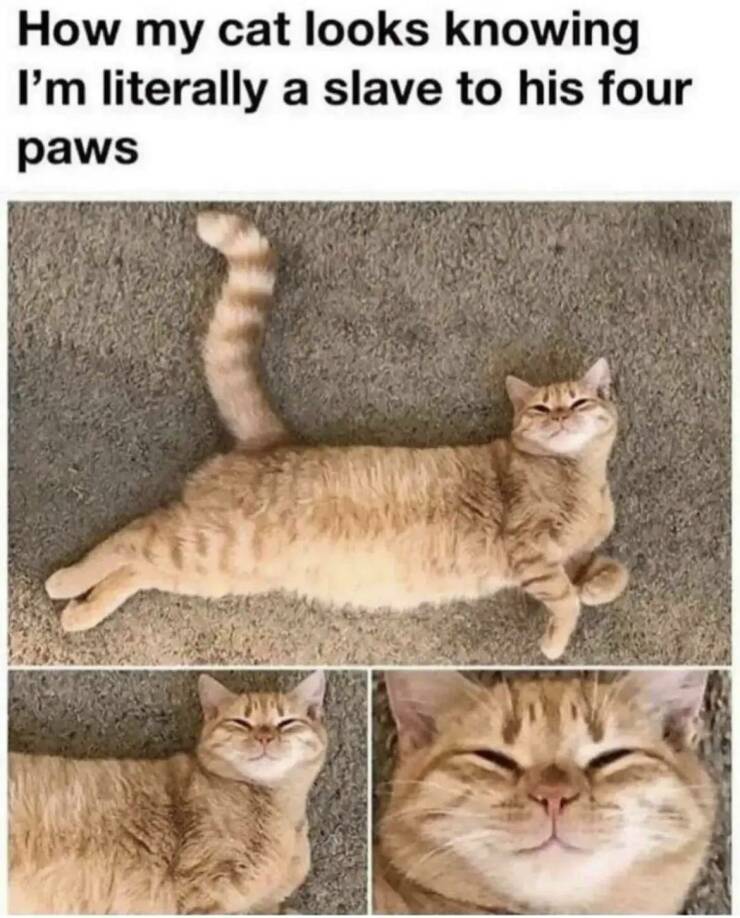 Daily Pictures. Part 2 (69 pics)