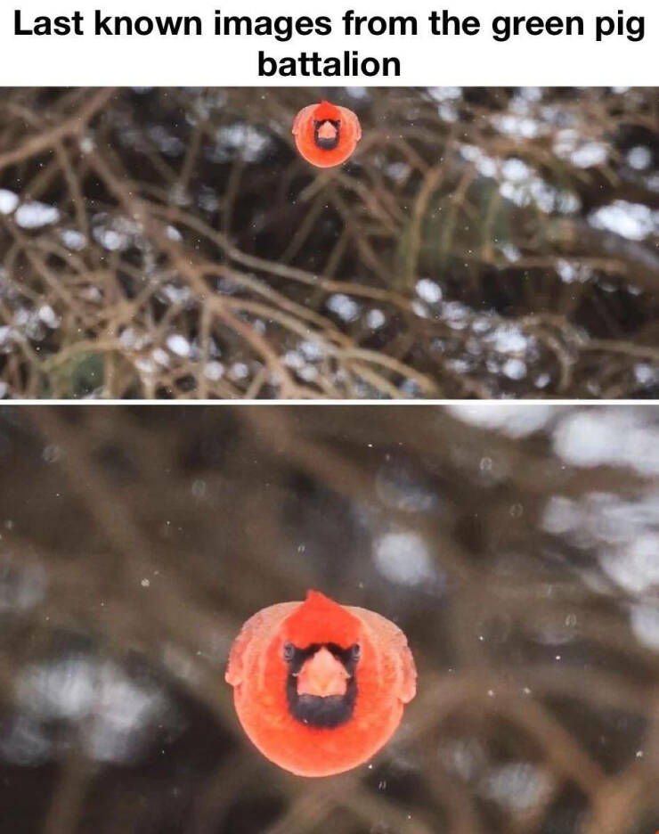 Daily Pictures. Part 2 (69 pics)