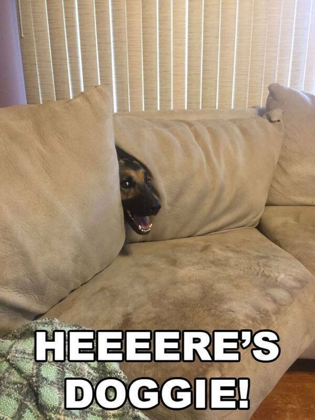 Funny Memes (30 pics)