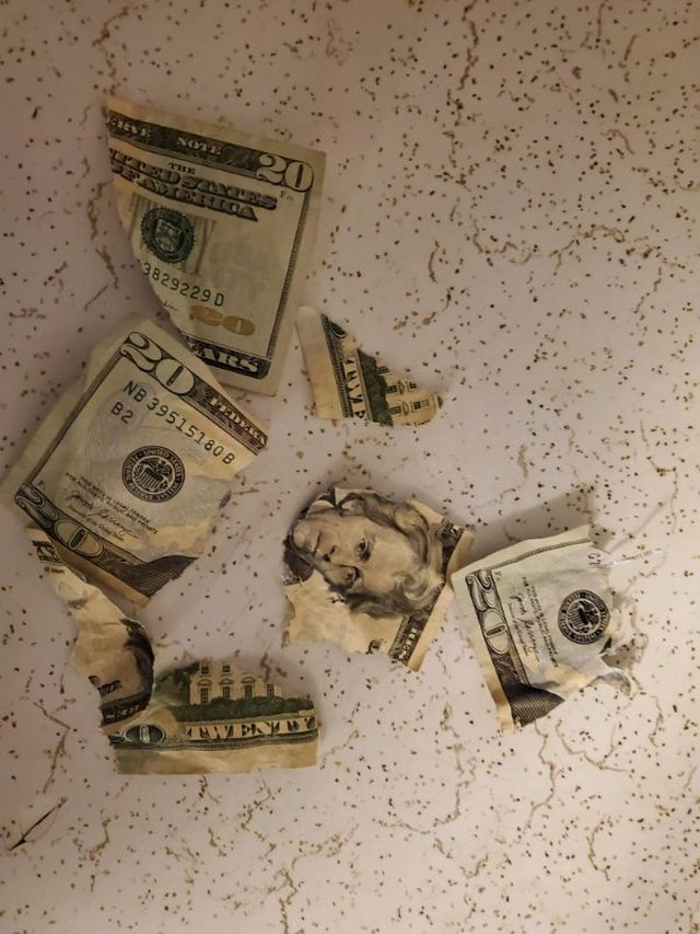 Bad Days Happen (16 pics)