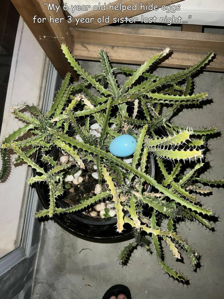 Daily Pictures. Part 1 (75 pics)