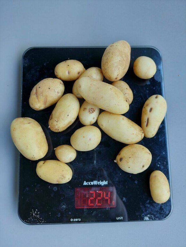Money Saving Tips (50 pics)
