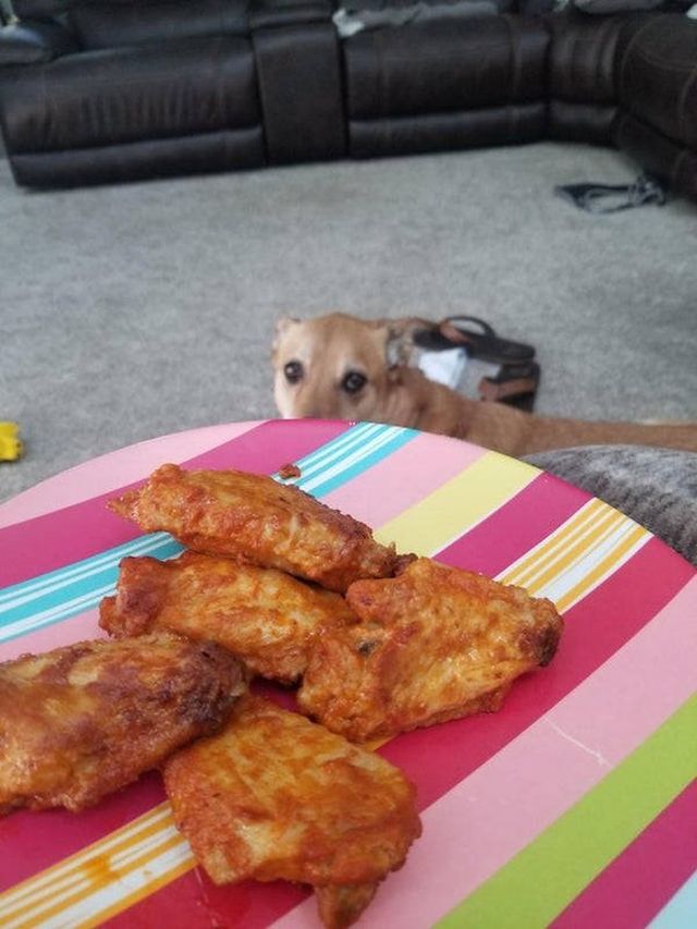 They Need Your Food (34 pics)